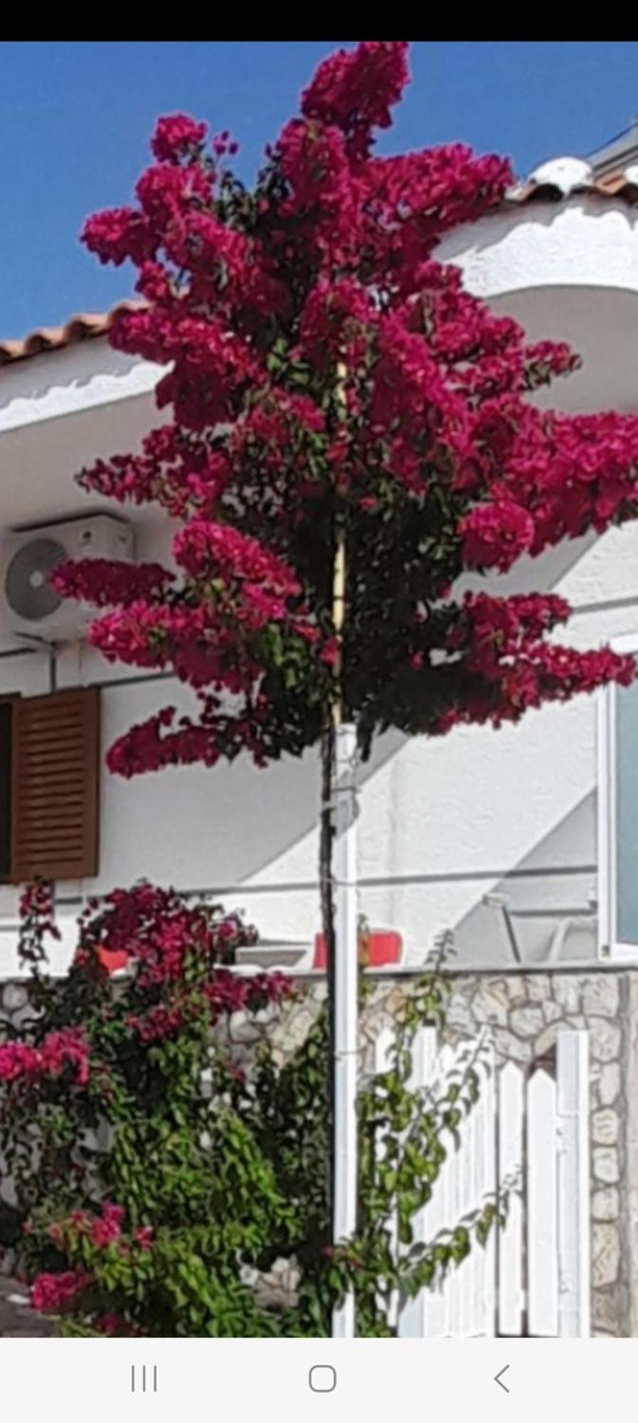 Luxury Dennis Home Sarande Luaran gambar